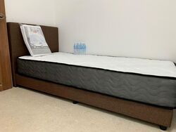 The Luxurie (D19), Condominium #457880211
